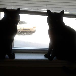 Meet your Posher, Kathy